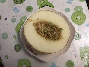 面瓜甜瓜怎么吃才好吃视频