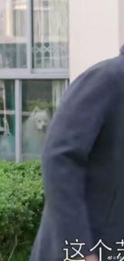 老大爷吃瓜怎么吃视频,跟随老大爷学习传统吃瓜技巧