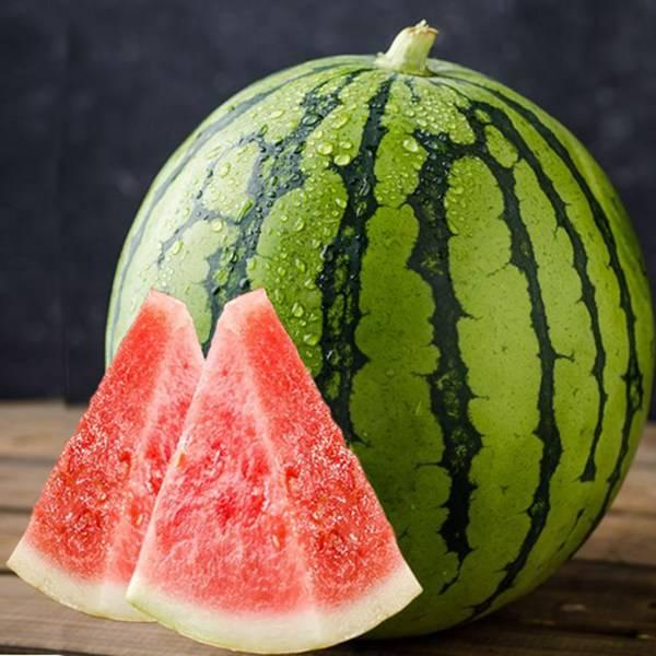 长垣吃瓜视频完整