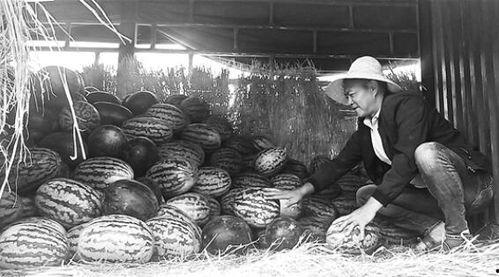 宜兴吃瓜群众事件视频最新,网络热议背后的真相揭晓