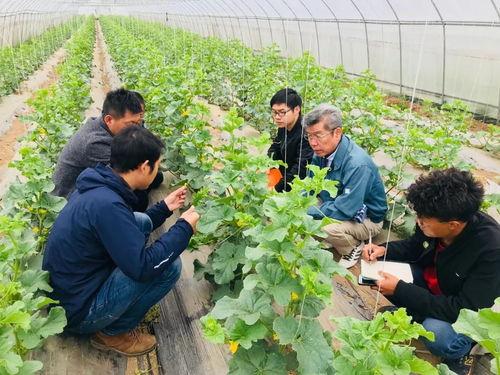 瓜园吃瓜视频大全,尽享吃瓜视频大全的欢乐时光