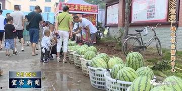 成都沙河事件吃瓜视频